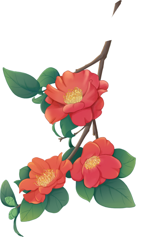 西安榴花图鉴快收藏→一日看尽“长安花”! 第39张
