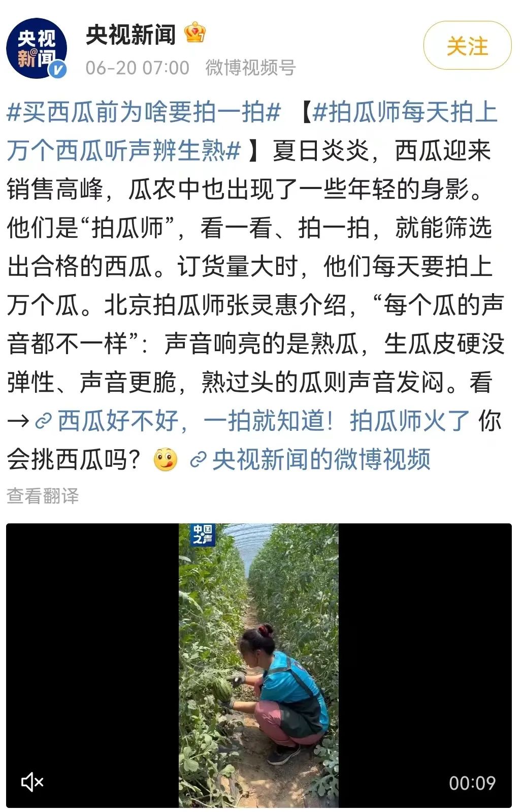 怎样挑到“梦中情瓜”？指南来了→西安夏季瓜果去哪买？摊点公布！-第16张图片