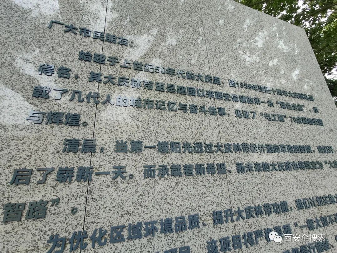 即将开建！西安又一个超级中央公园-第9张图片