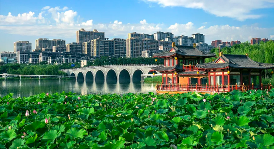 伴着唐诗，走进西安！诗在，长安就在！-第6张图片