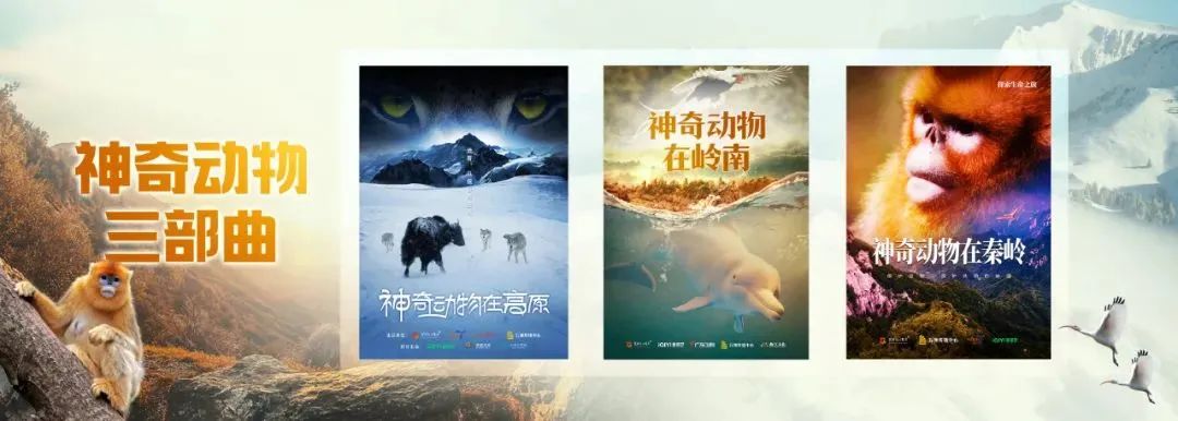 看一看西安影视行业的幕后力量? 第8张