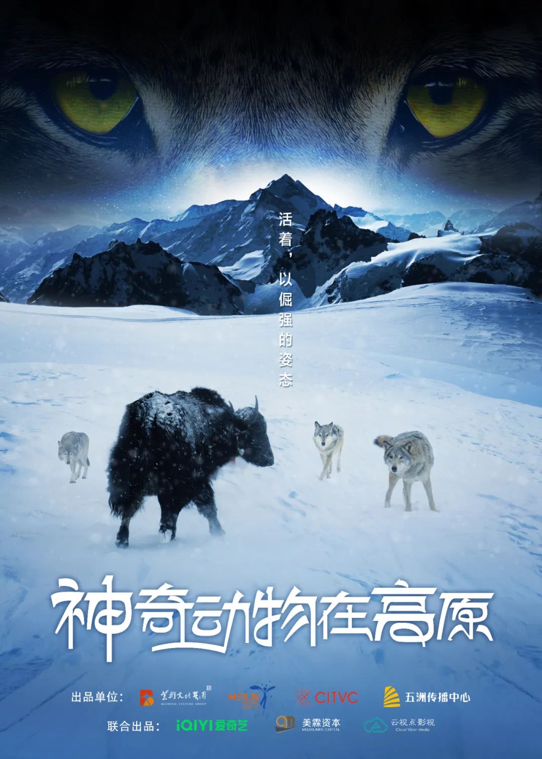 看一看西安影视行业的幕后力量? 第12张