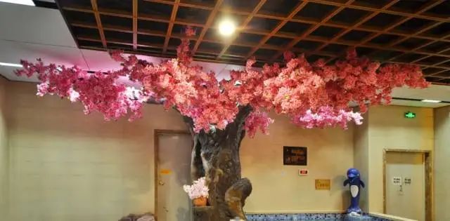环境满分,体验满分!¥35抢价值58元「善水汇汗蒸休闲馆」单人浴资门票!含桑拿洗浴 汤泉 儿童戏水池等! 第8张