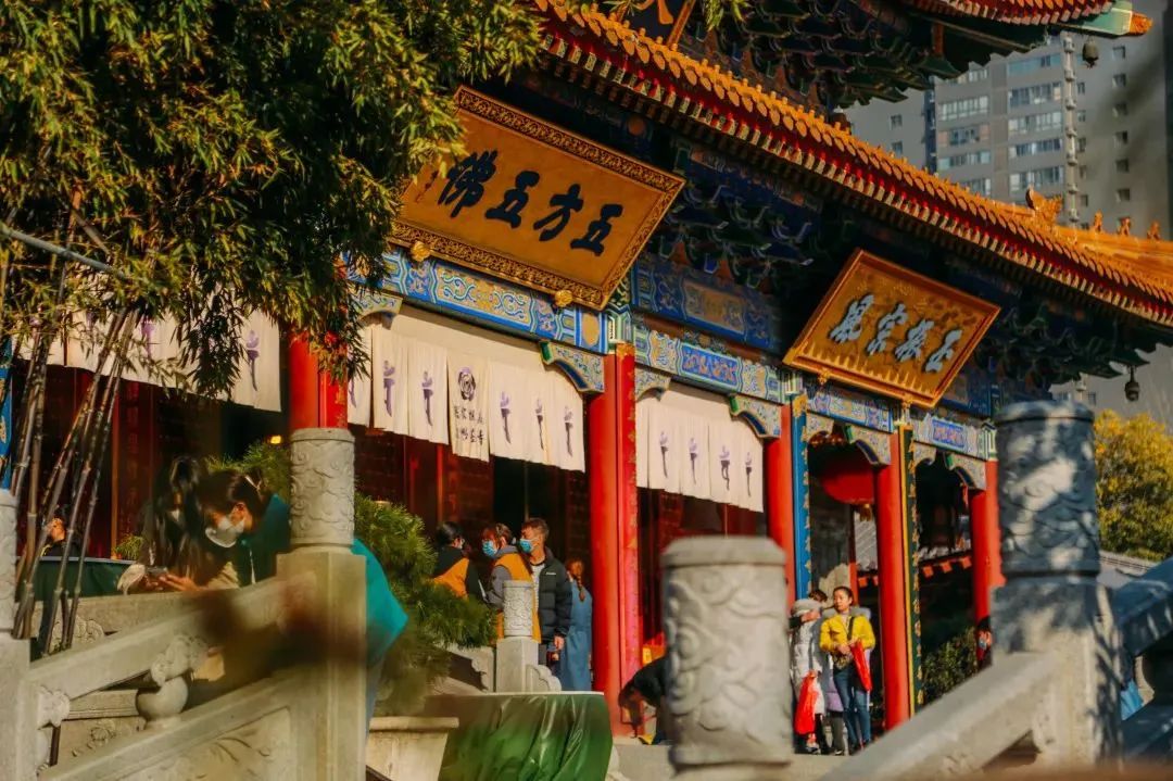 究竟有多“火爆”?这个夏天西安旅游人数爆炸! 第7张