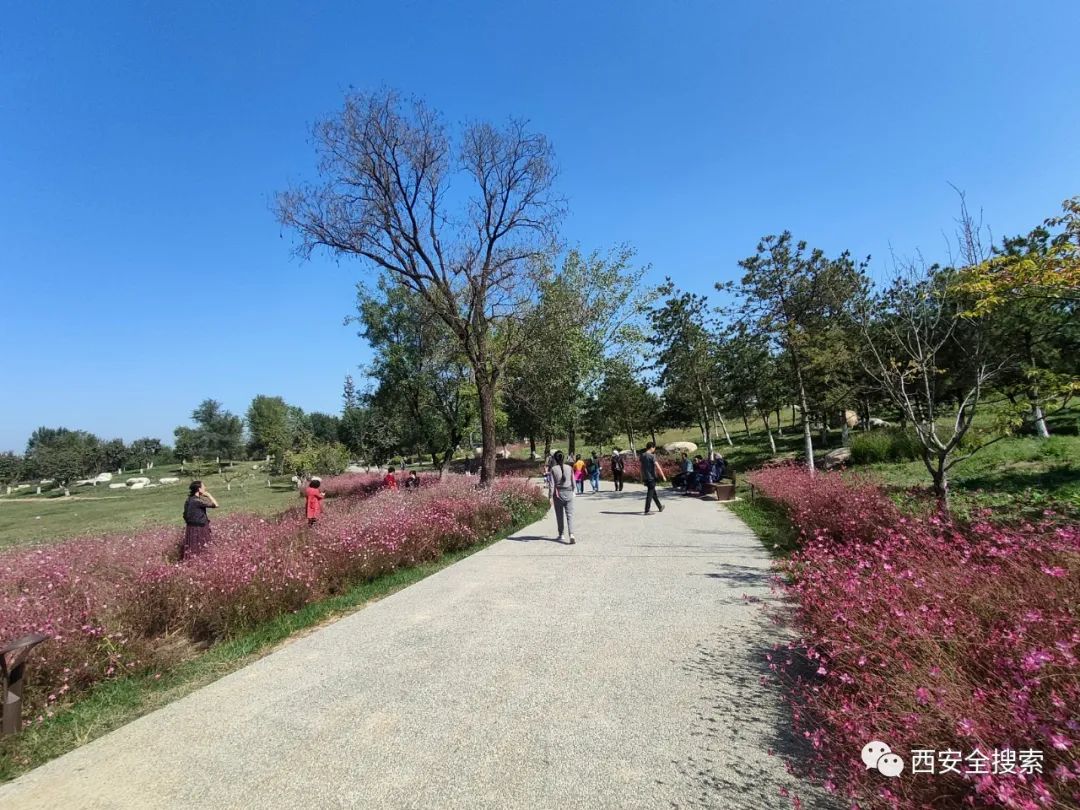 西安最大遗址公园，规划的城市中央公园！75平方公里！-第5张图片