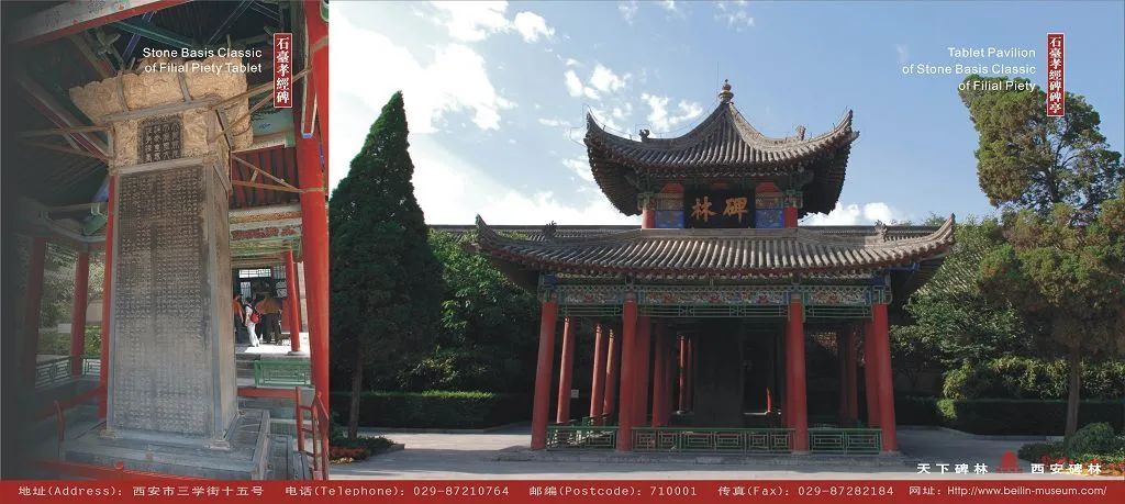 西安迎来“最火”八月!地铁公交延点、景区延时开放 第25张