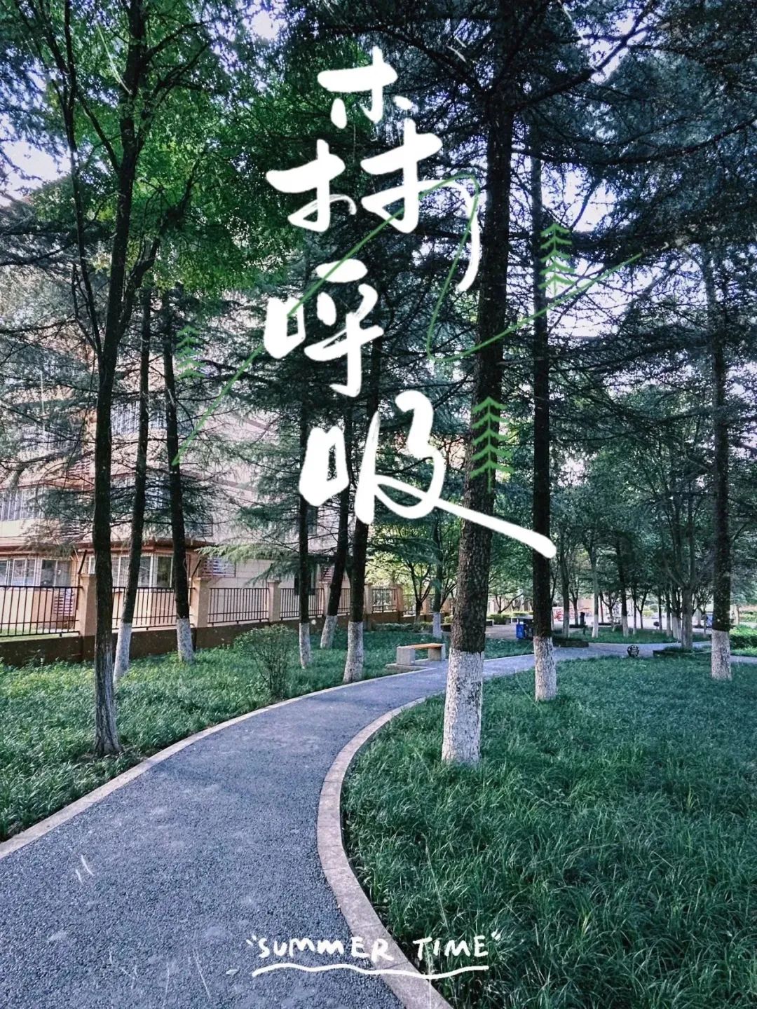 只需要换一种方式,就让你爱上西安! 第8张