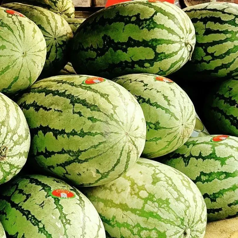 只需要换一种方式,就让你爱上西安! 第10张