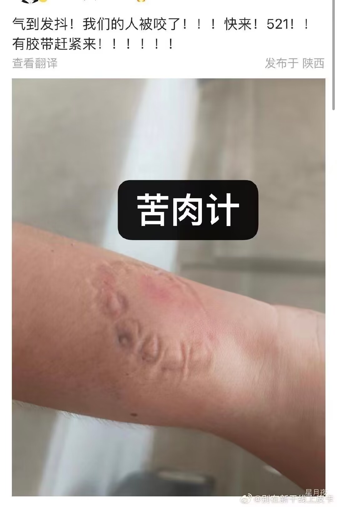 兵马俑都给吵醒了几百个？8月伊始的西安  第9张