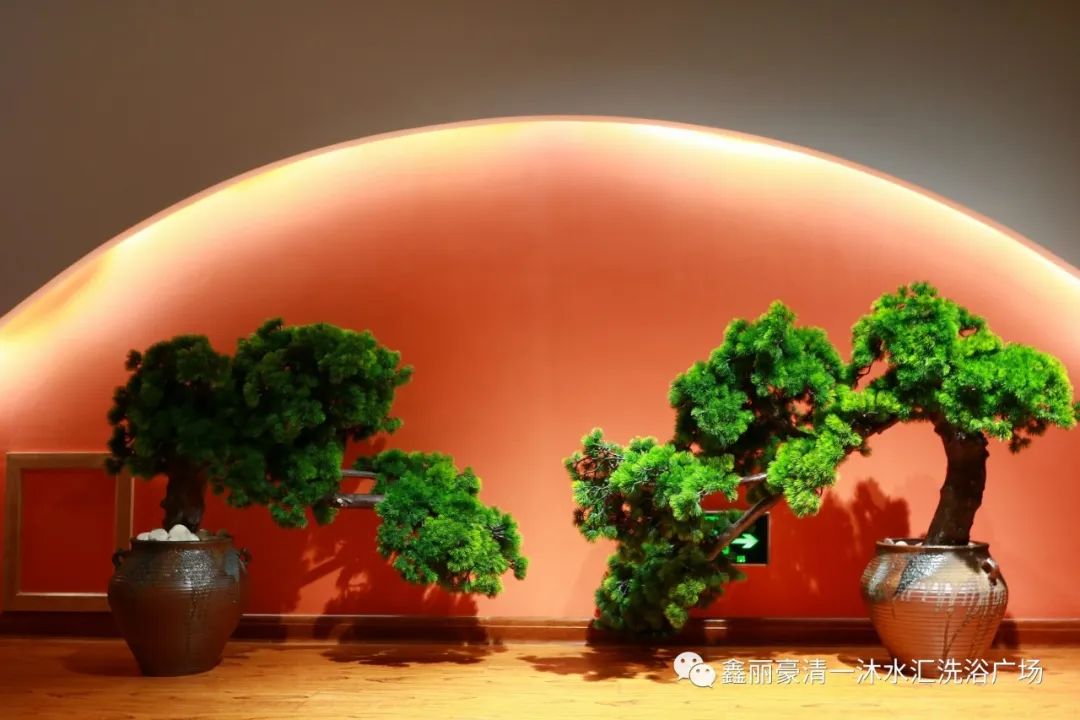 西安洗浴——鑫丽豪清一沐水汇洗浴广场全新启航! 第11张
