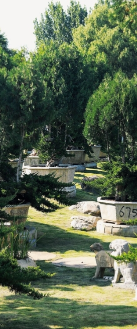 人少景美|“宝藏”打卡地→西安小众景点 第5张