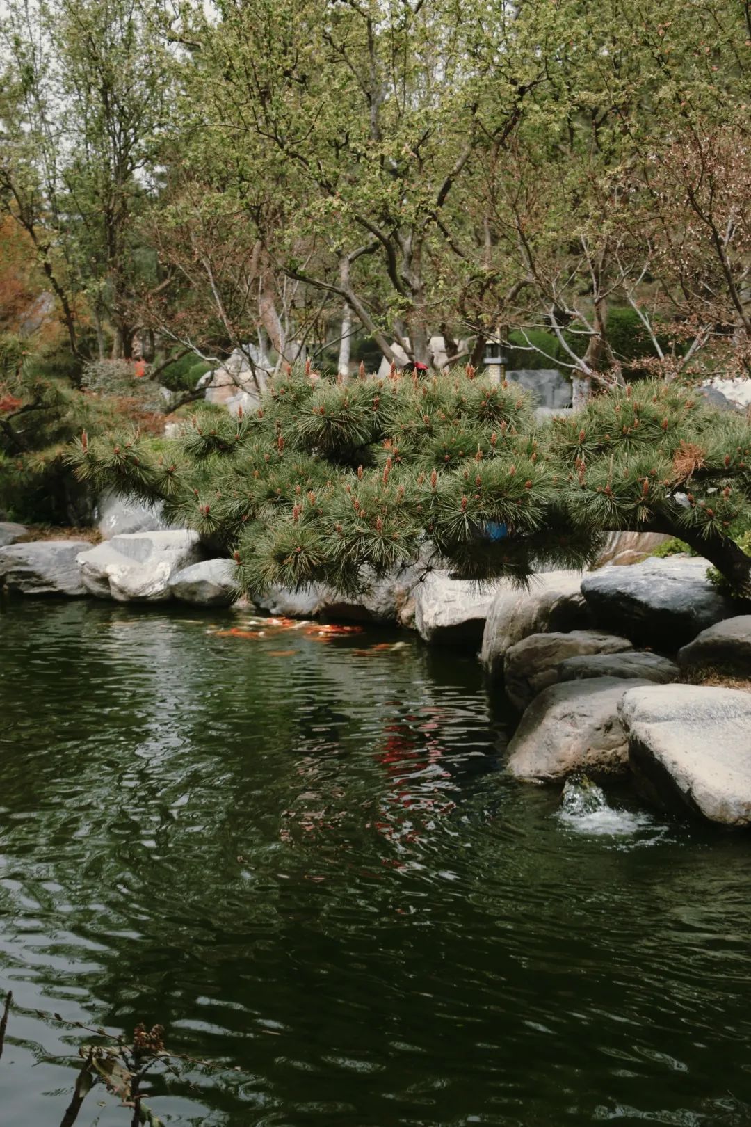 人少景美|“宝藏”打卡地→西安小众景点 第4张