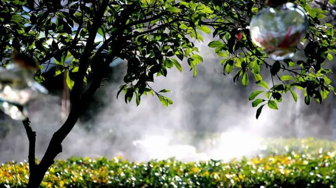 承包你的整个冬天！西安这5个温泉泡汤好去处！  第12张