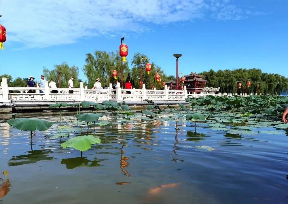 你喜欢古诗吗?跟着唐诗玩转西安会是一种什么体验? 第1张