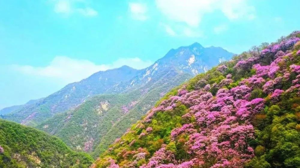 你喜欢古诗吗?跟着唐诗玩转西安会是一种什么体验? 第10张