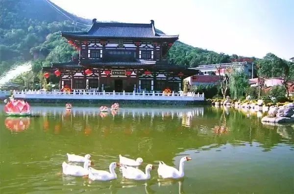 你喜欢古诗吗?跟着唐诗玩转西安会是一种什么体验? 第20张