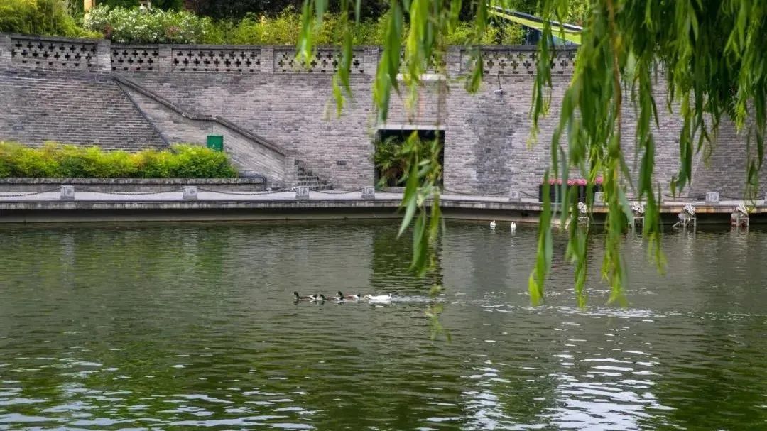你喜欢古诗吗?跟着唐诗玩转西安会是一种什么体验? 第24张