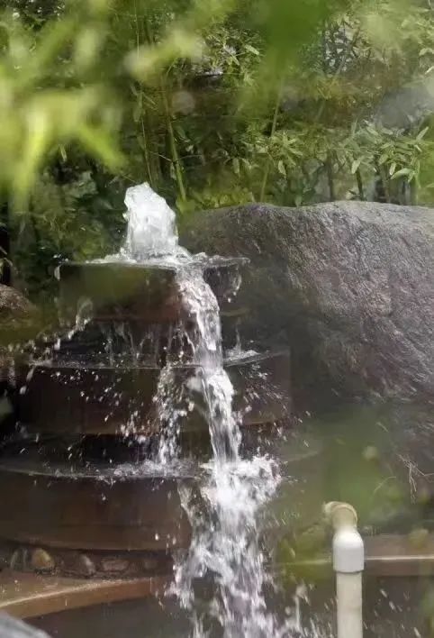 一起在曲江寻一池温泉,享一季暖冬~冬天就该泡温泉! 第19张