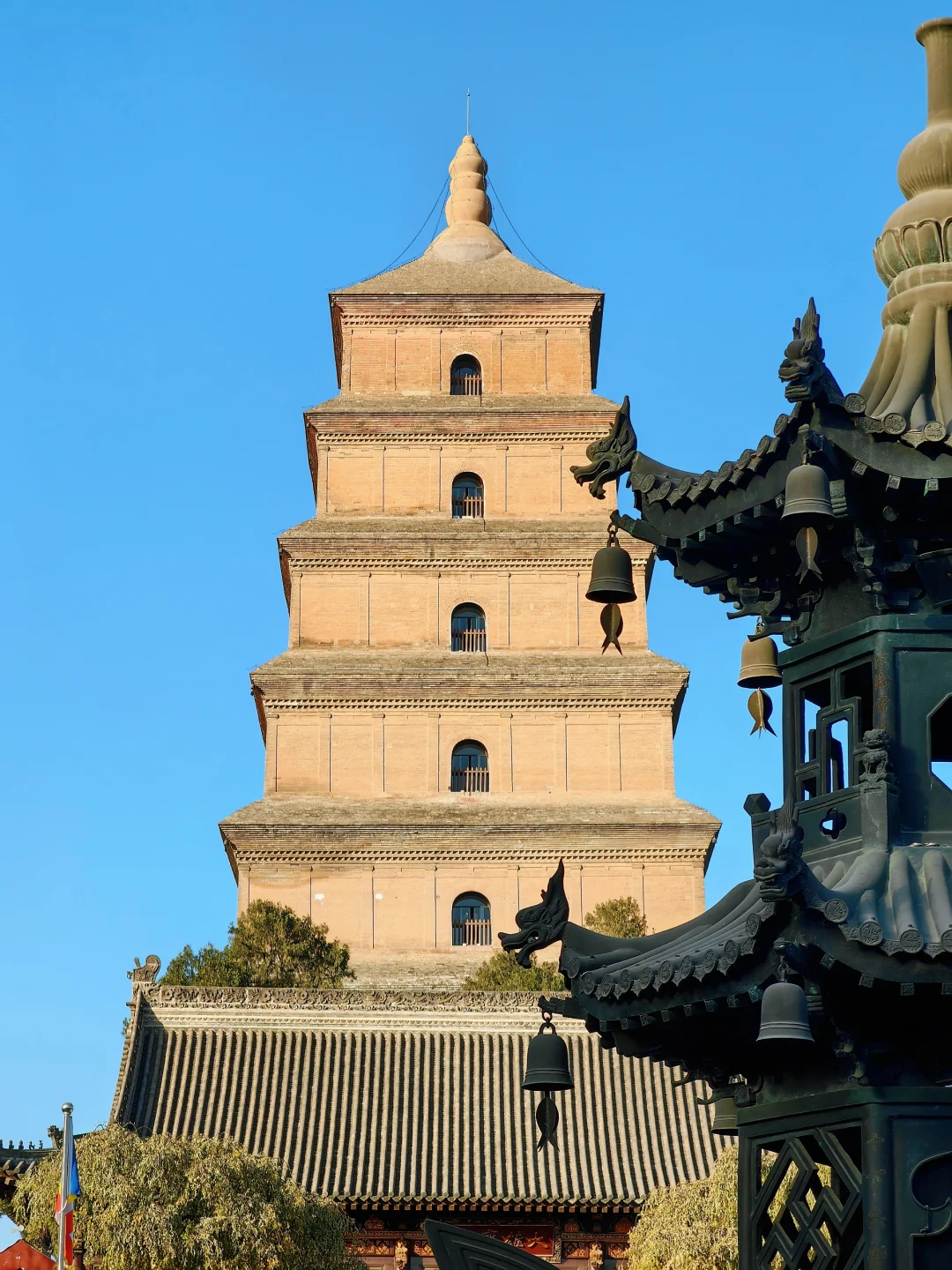 这几个免费景点别错过!1-2月来西安必看旅游攻略! 第6张