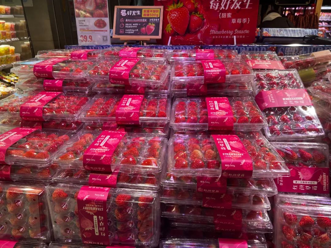 西安人能实现草莓自由吗?价格暴跌? 第10张