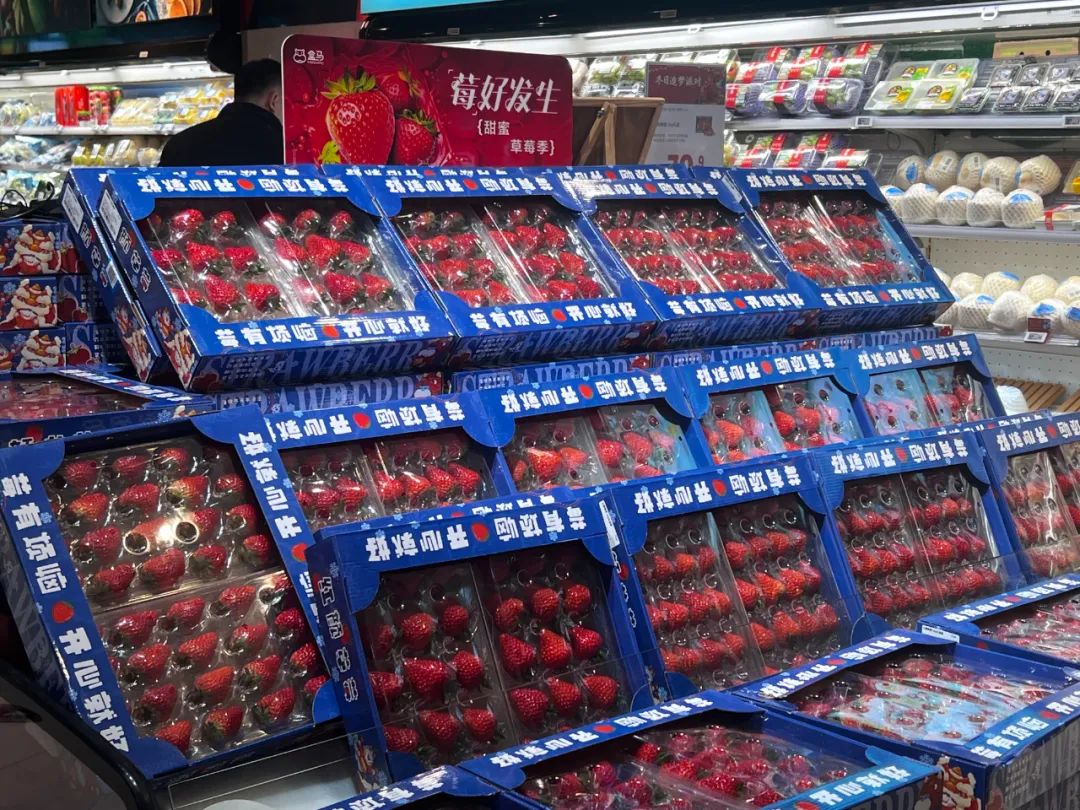 西安人能实现草莓自由吗?价格暴跌? 第9张