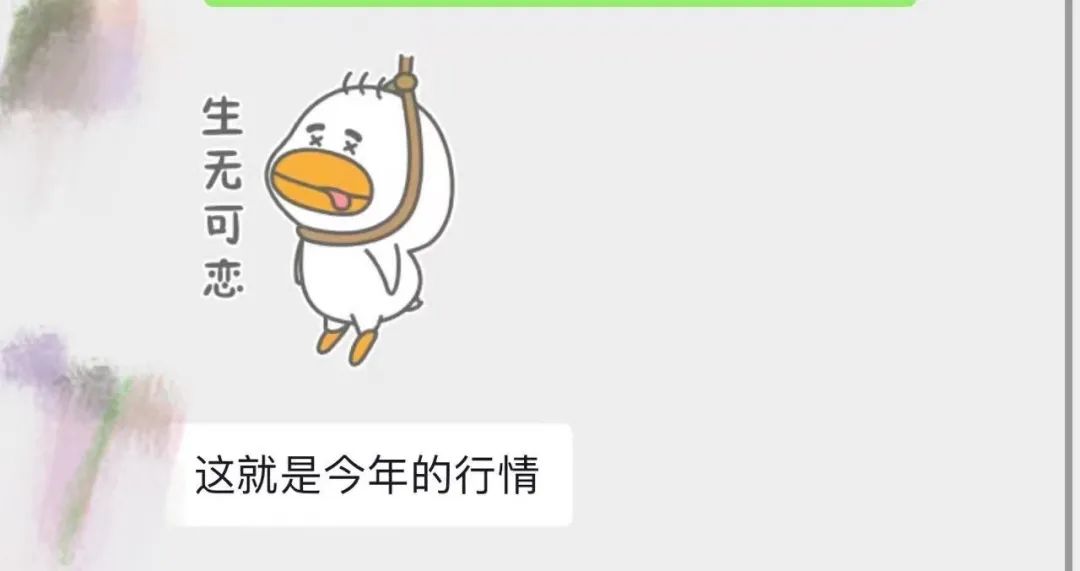 西安人能实现草莓自由吗?价格暴跌? 第13张