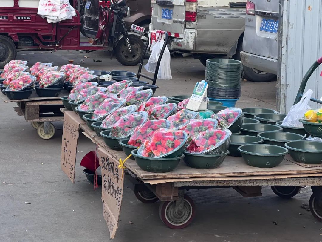 西安人能实现草莓自由吗?价格暴跌? 第15张