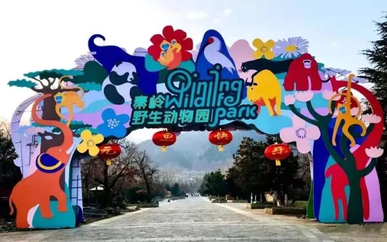 西安再次上榜!西安前十!龙年首个出游高峰 第17张