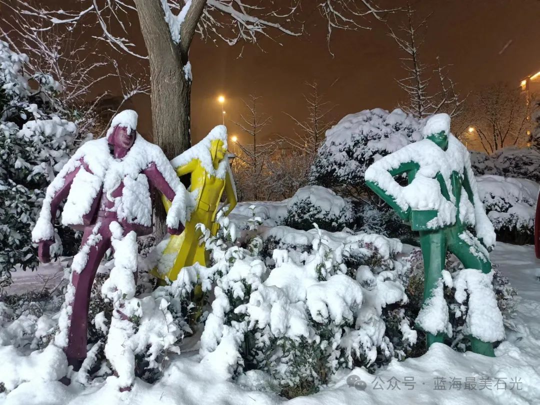 更妩媚多姿！风雪夜归人、西安夜晚的雪-第1张图片