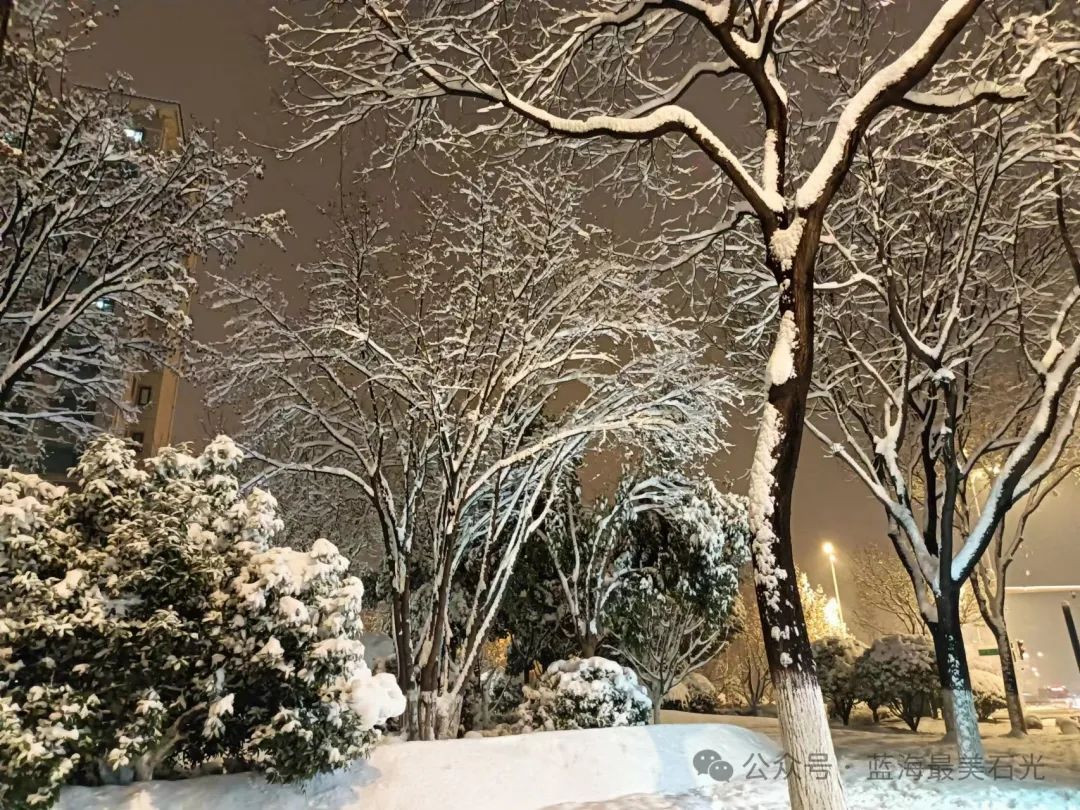 更妩媚多姿！风雪夜归人、西安夜晚的雪-第3张图片
