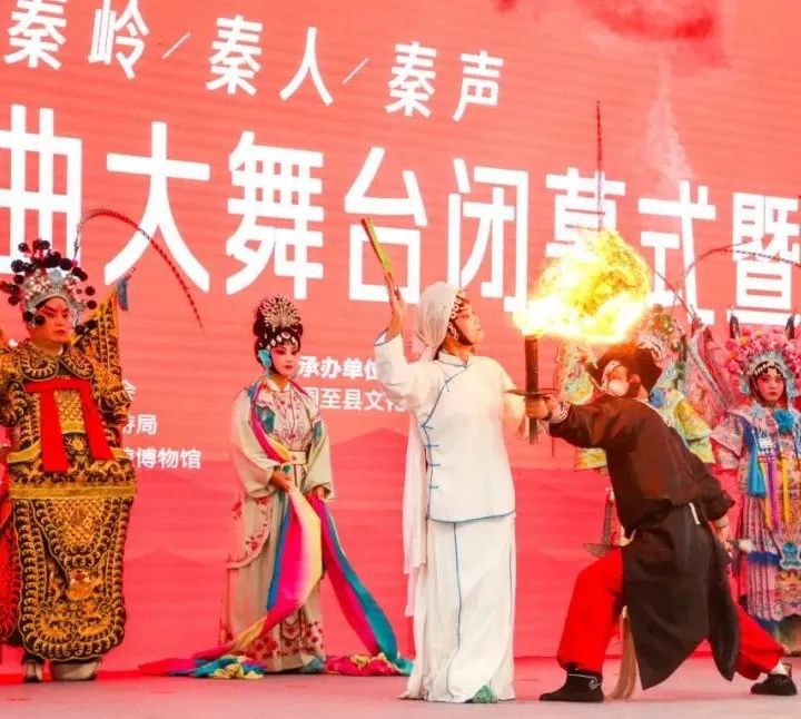 6大主题、9大系列活动!重磅!“西安年”来了! 第28张