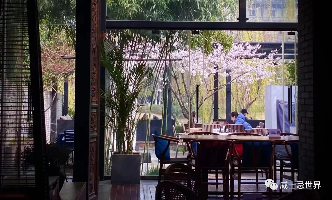 西安清吧推荐：大隐隐于市——隐舍酒吧-第6张图片