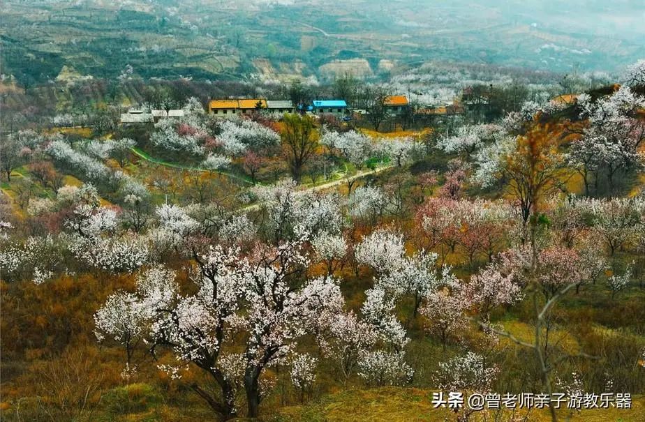 周末「踏春指南」！西安这30个周边踏春赏花的攻略-第23张图片