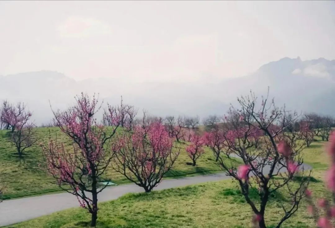 十条春季乡村精品旅游线路发布,西安市休闲娱乐推荐 第3张