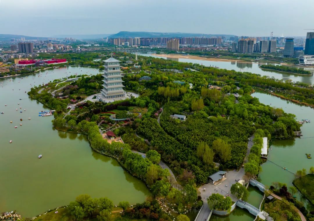 明天安排！西安这些赏花好去处！全部免费，地铁直达！-第11张图片