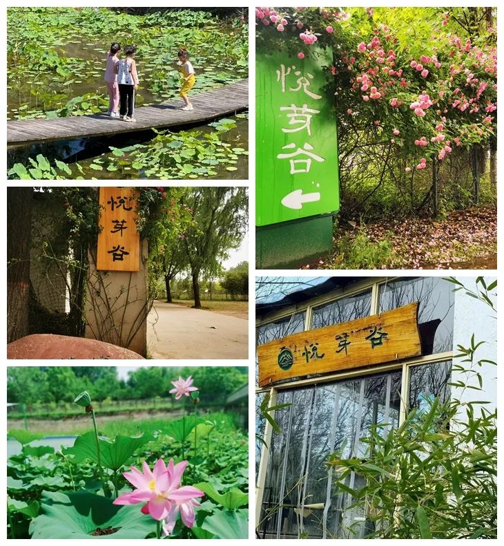 小长假省钱又省力!收藏这篇西安户外亲子游攻略 第9张