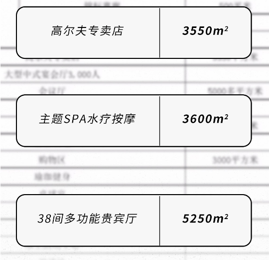 西安会所：有啥高端服务吗？高端会所究竟是干啥的？-第16张图片