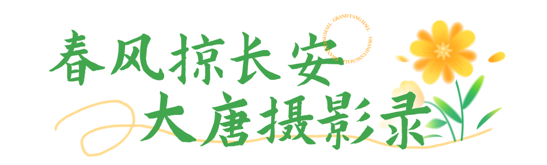 上巳游春赏风雅，国风盛宴，春满长安——西安大唐不夜城-第13张图片