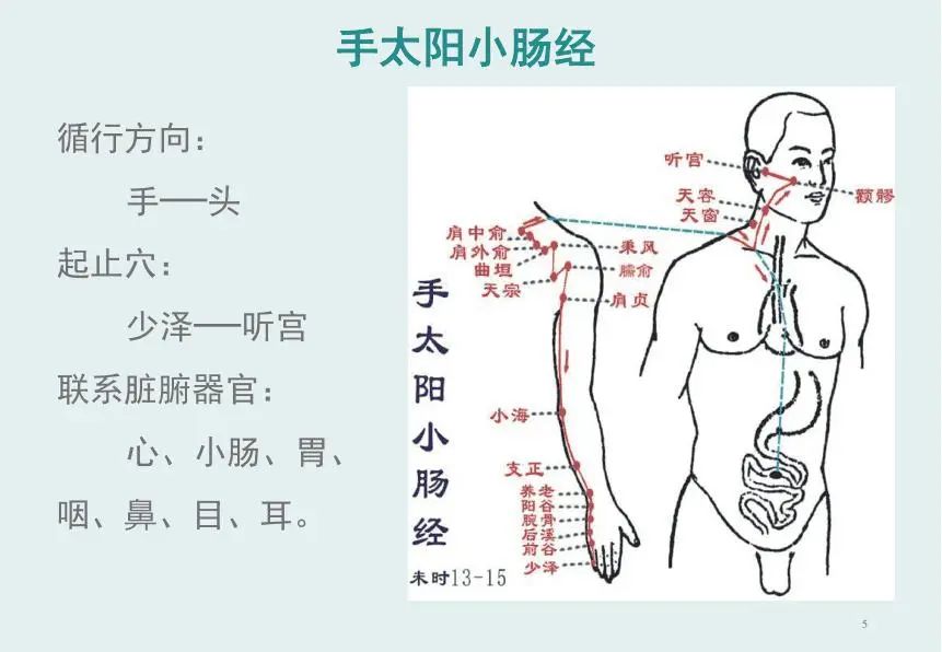 西安古城的不同按摩之法？看看怎么养护你的全身！！！-第6张图片