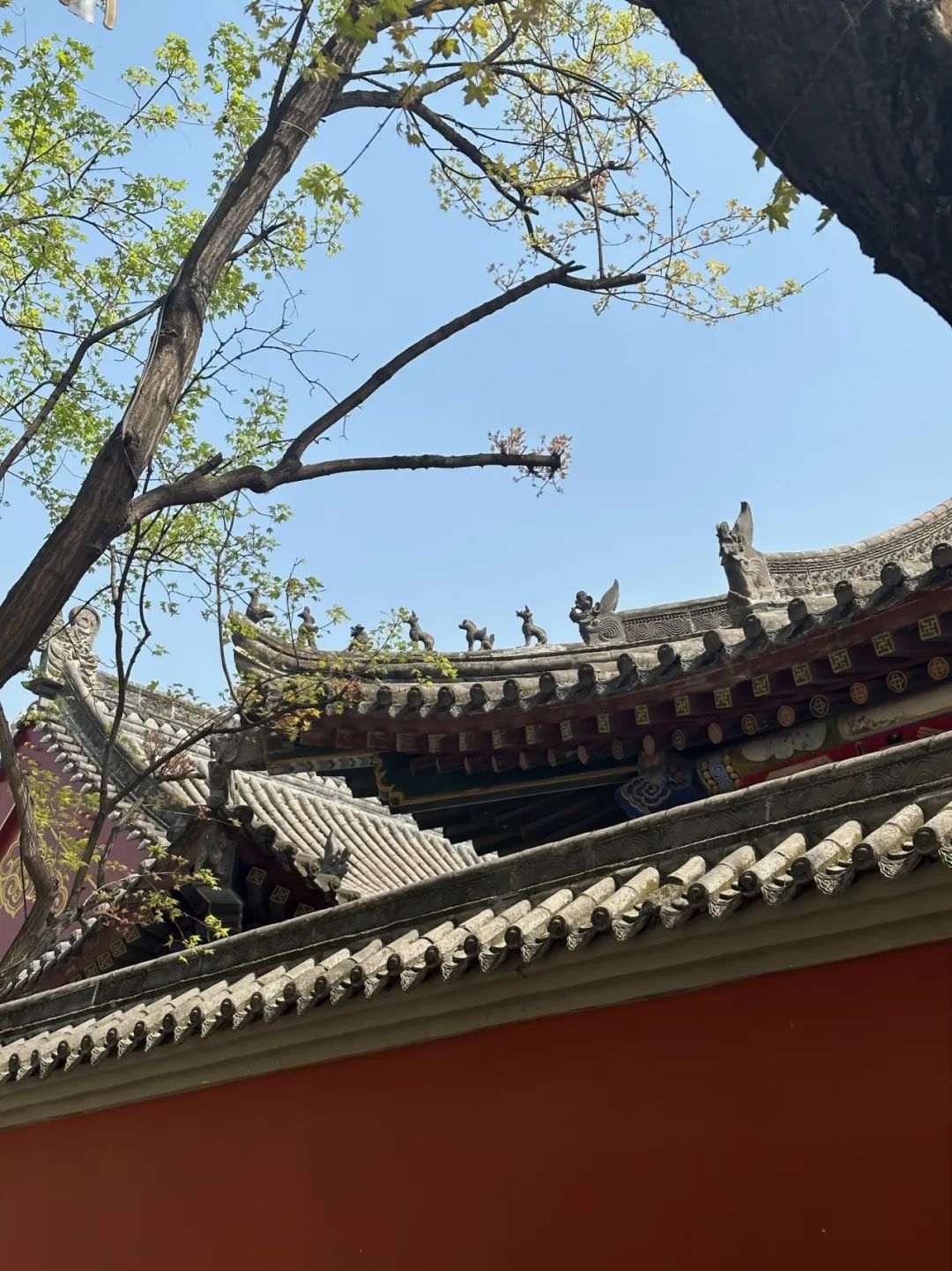 只要人均2000?在西安只要2K就能玩好吃好! 第20张