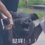 只要人均2000?在西安只要2K就能玩好吃好! 第46张