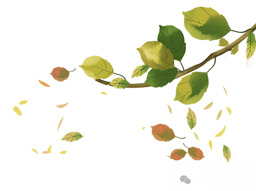 值得去体验!!!西安莞式spa推拿会所!享受正宗! 第11张