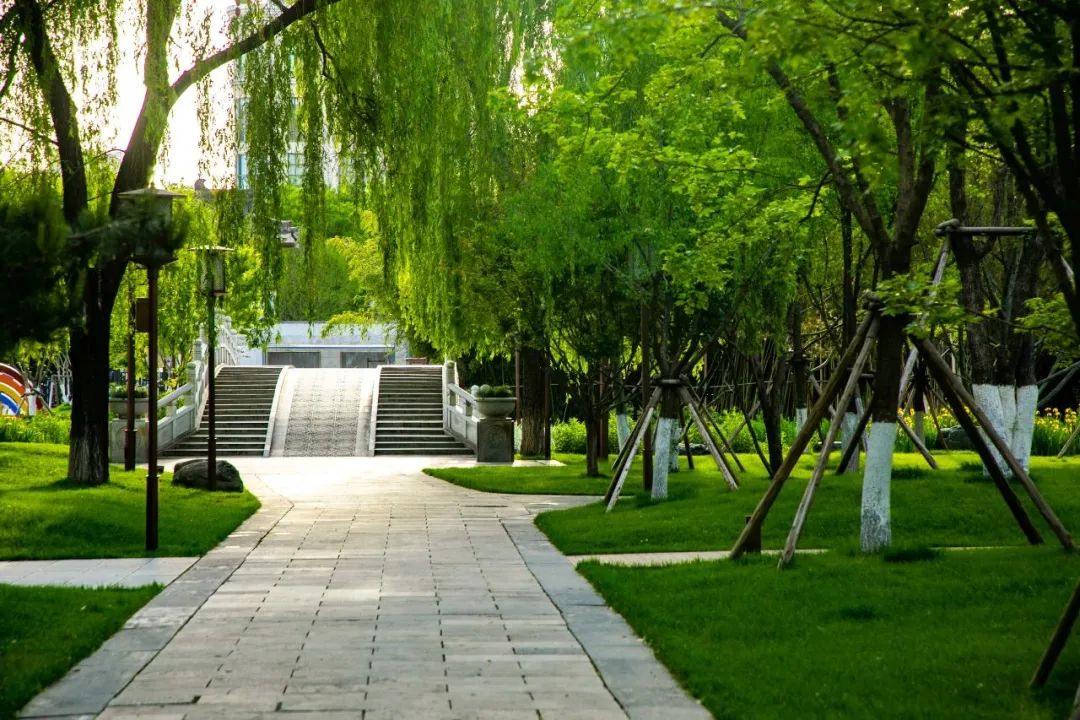 西安周边休闲娱乐!这4个好去处,逛一天都不腻!全部免费! 第4张