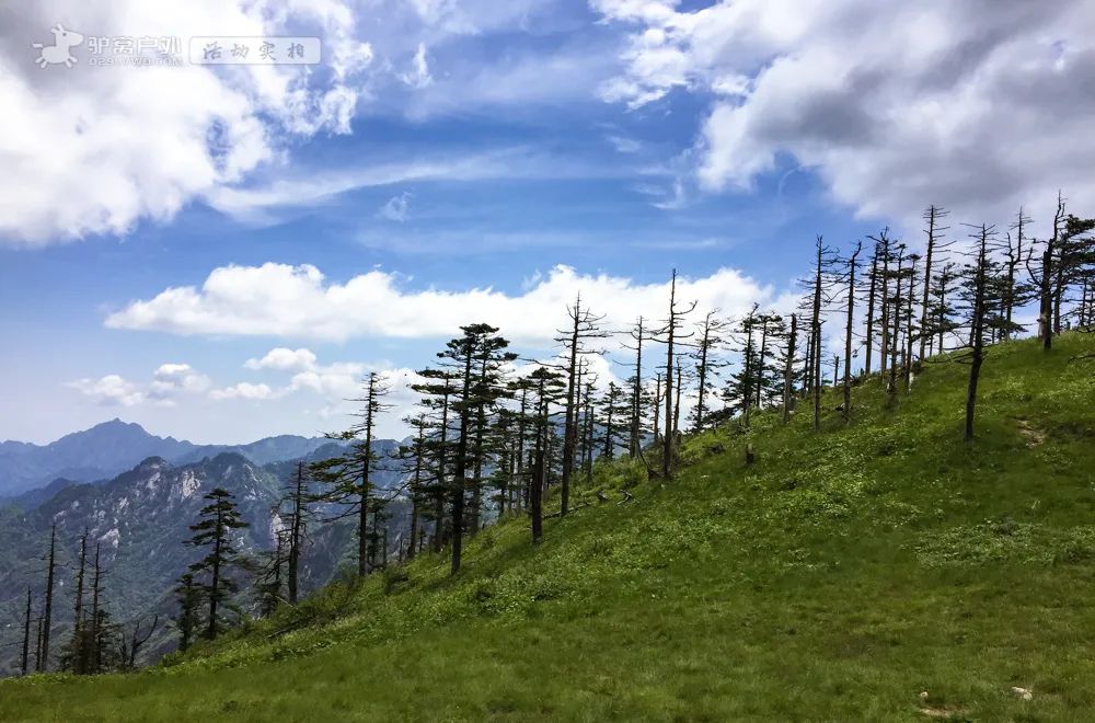 人少幽静，周末避暑绝佳！西安周边夏日必去的8个森林公园，最近1h到达！-第3张图片