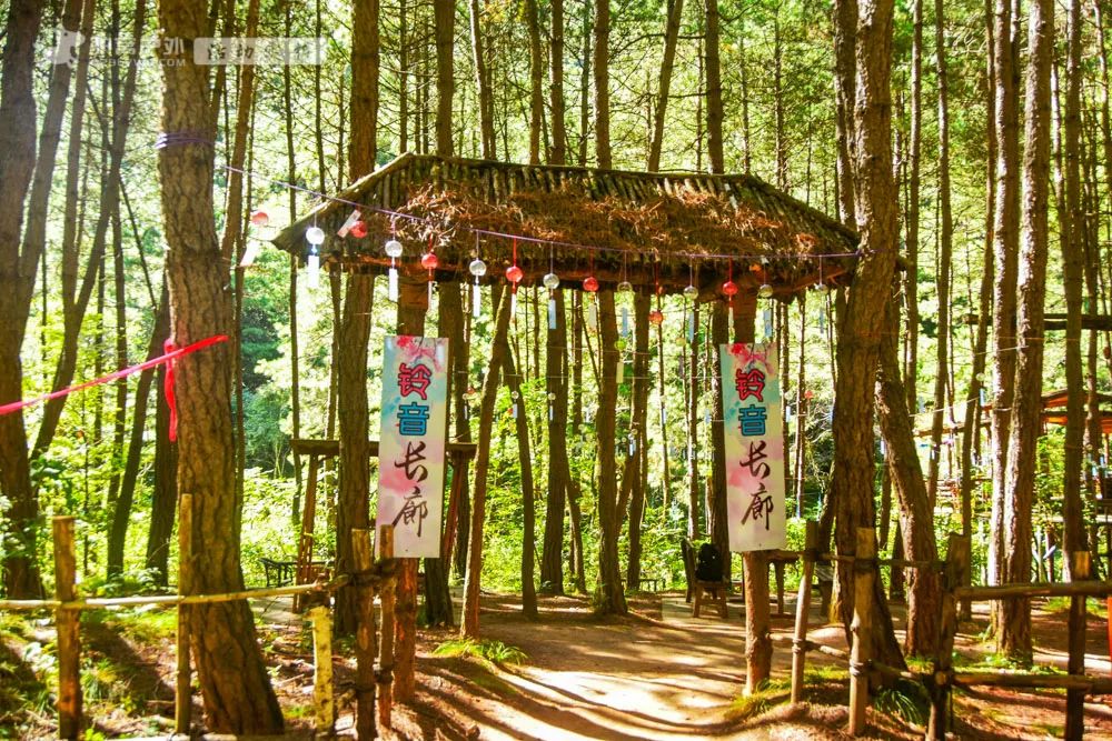 人少幽静，周末避暑绝佳！西安周边夏日必去的8个森林公园，最近1h到达！-第8张图片