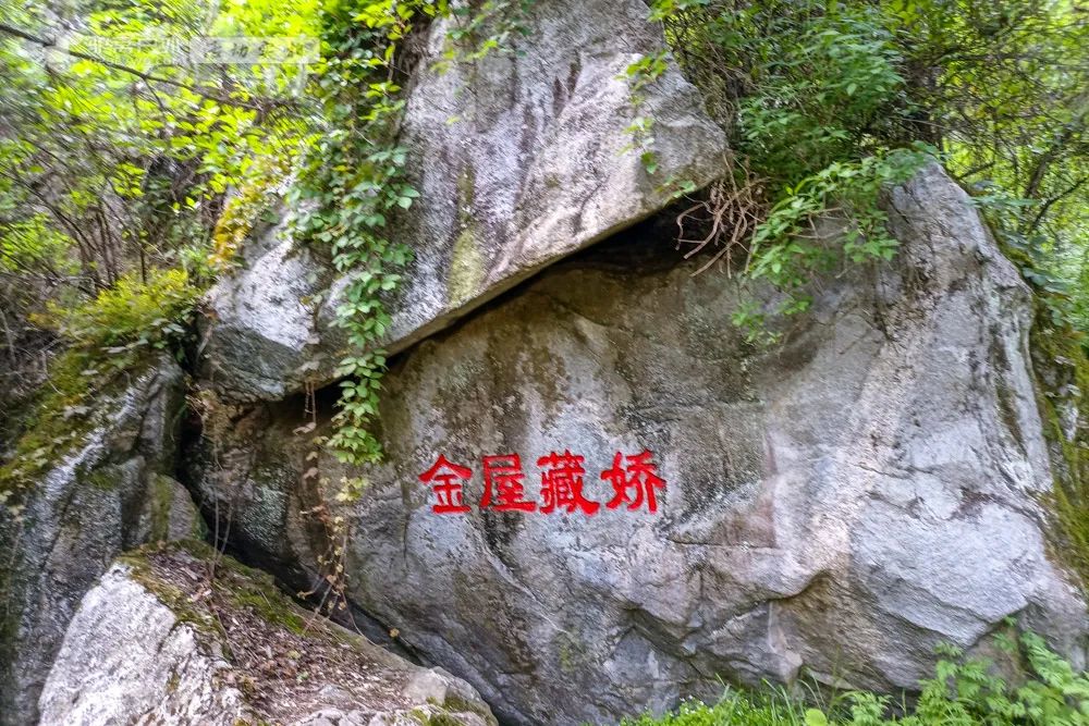 人少幽静，周末避暑绝佳！西安周边夏日必去的8个森林公园，最近1h到达！-第28张图片