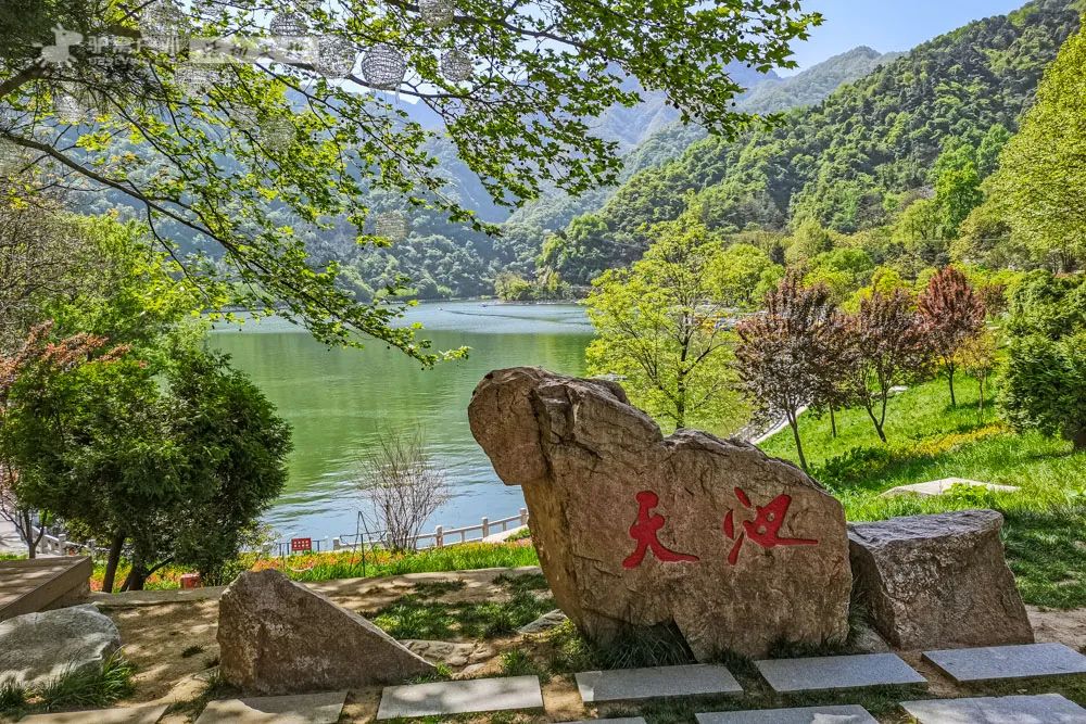 人少幽静，周末避暑绝佳！西安周边夏日必去的8个森林公园，最近1h到达！-第26张图片