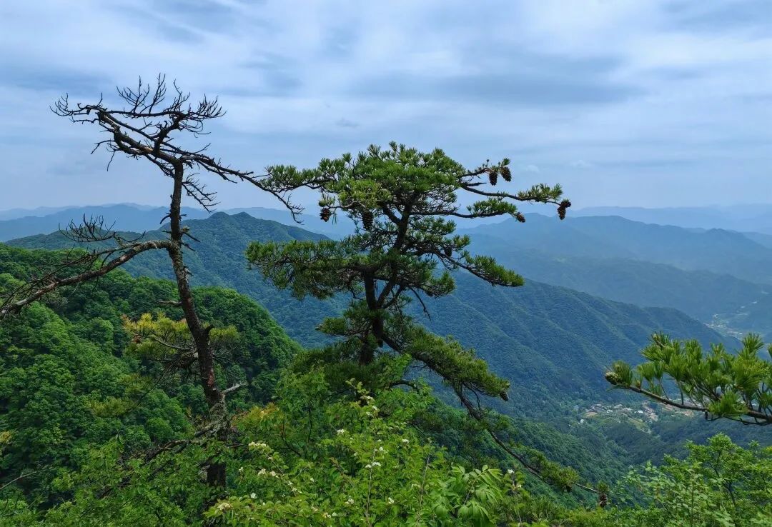 西安休闲娱乐登山路线分享!打卡西安“阿勒泰”!10条宝藏进山路线! 第8张
