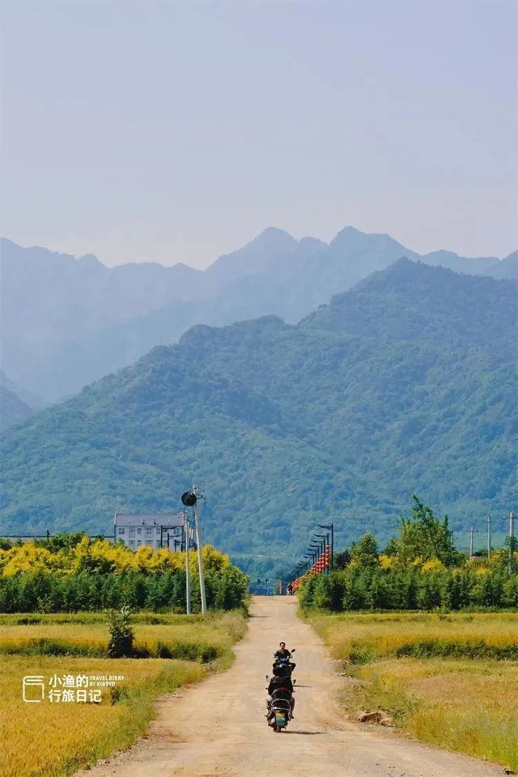 秦岭、乡村、麦浪！随手一拍都是大片西安初夏最治愈的风景！-第3张图片