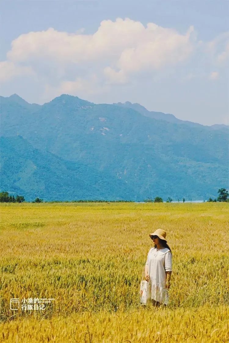 秦岭、乡村、麦浪！随手一拍都是大片西安初夏最治愈的风景！-第7张图片